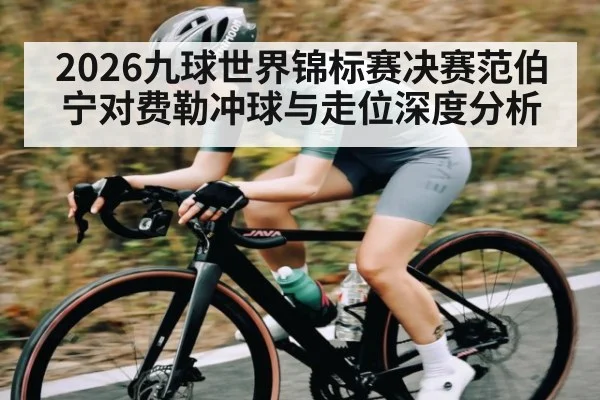 2026九球世界锦标赛决赛范伯宁对费勒冲球与走位深度分析