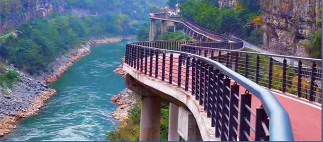 旺财28-金牌品质 王者归来！金王肖景匀迈上新赛道