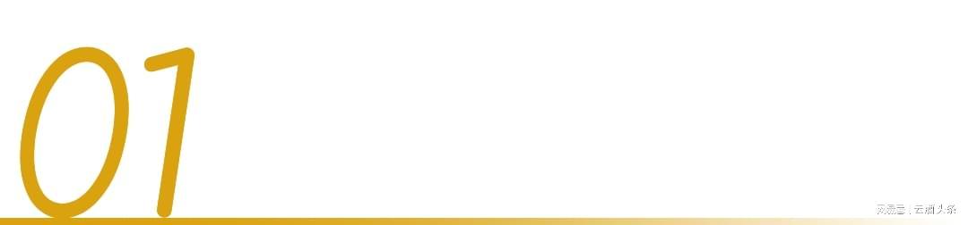 旺财28官网-冲着周杰伦“一轮游”来，却嗑起了澳网和国窖1573的CP